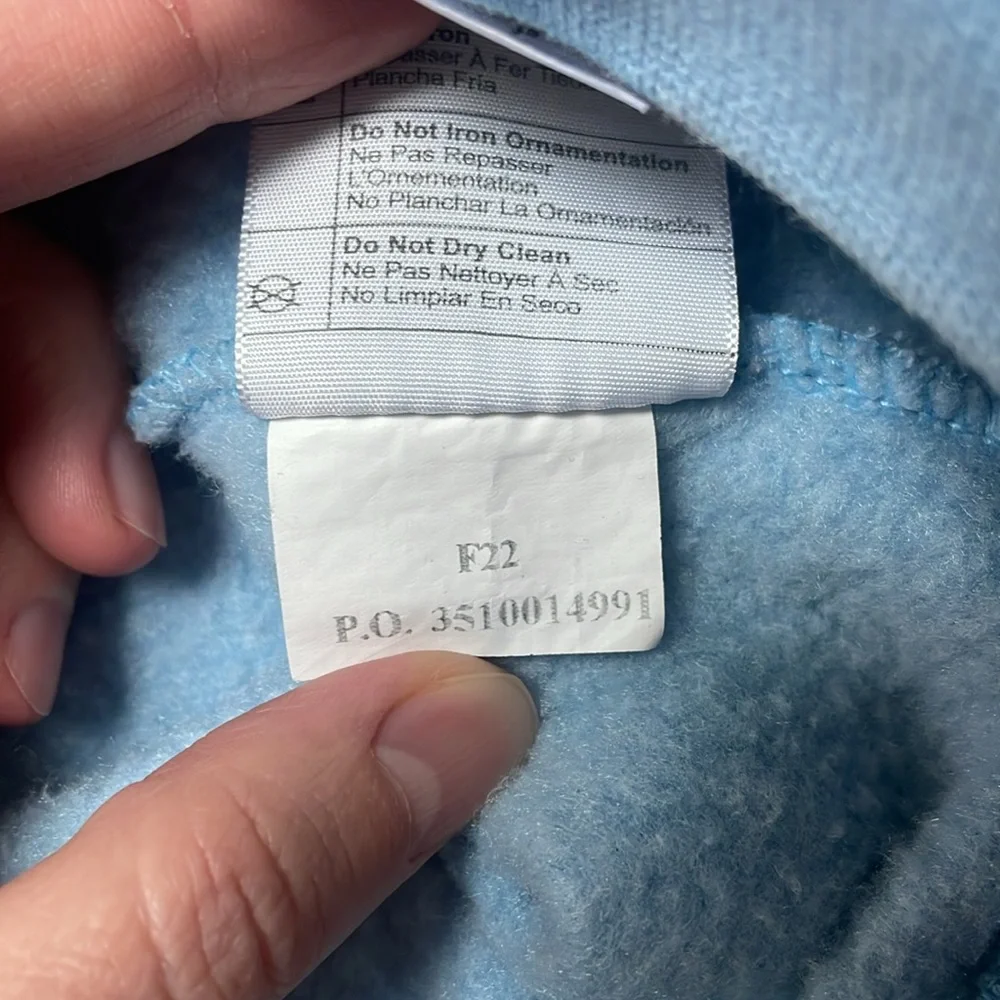 Carhartt Graphic Sweatshirt Hoodie Women’s Size Small Loose Fit From Fall 2022 - Picture 7 of 10